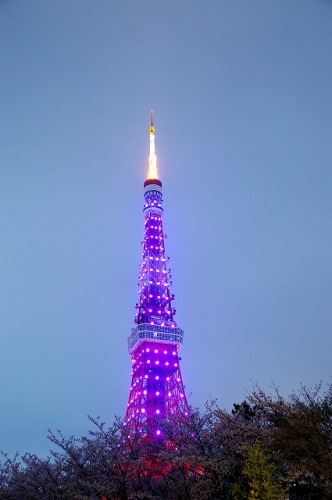 2010t4g05.jpg
