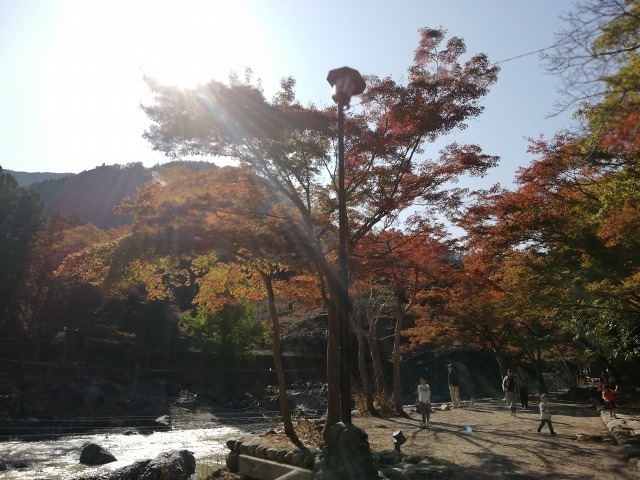 IMG_20191110_123030.jpg