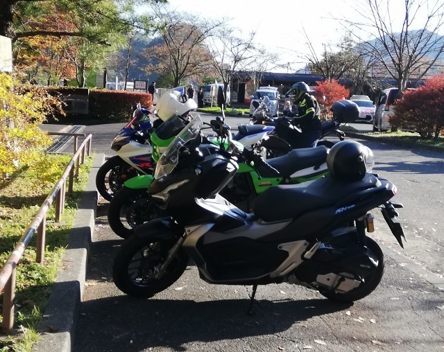 IMG_20191111_142417.jpg